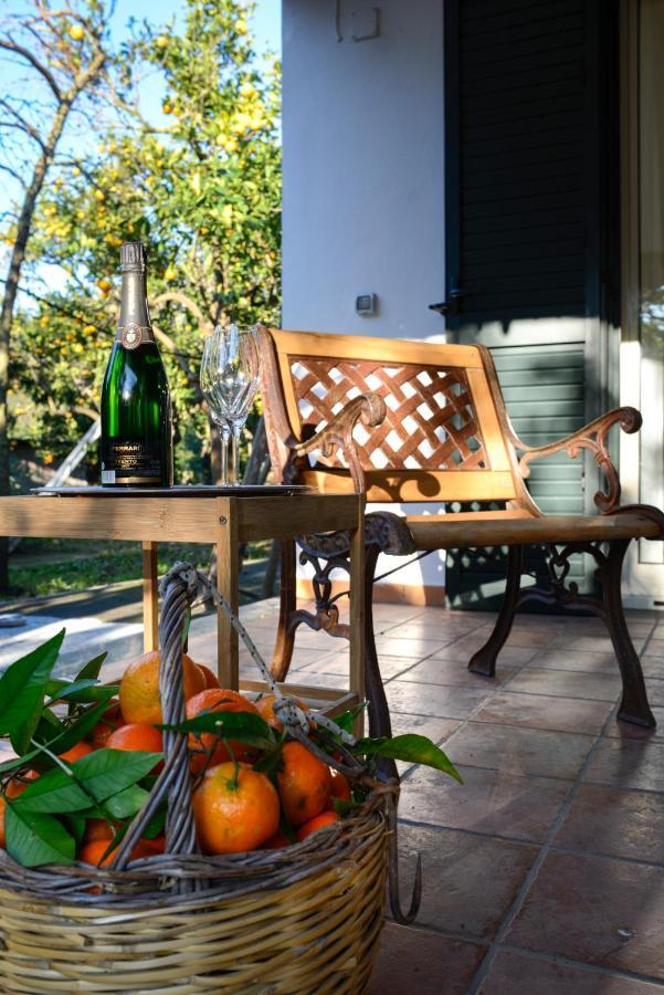 Agriturismo Piccolo Canyon Apartment Пиано ди Соренто Екстериор снимка