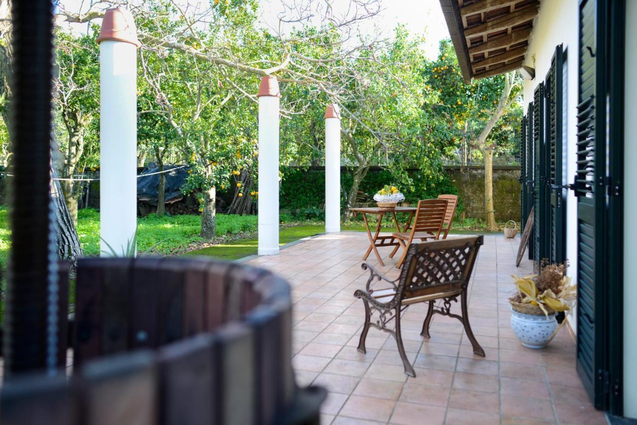 Agriturismo Piccolo Canyon Apartment Пиано ди Соренто Екстериор снимка