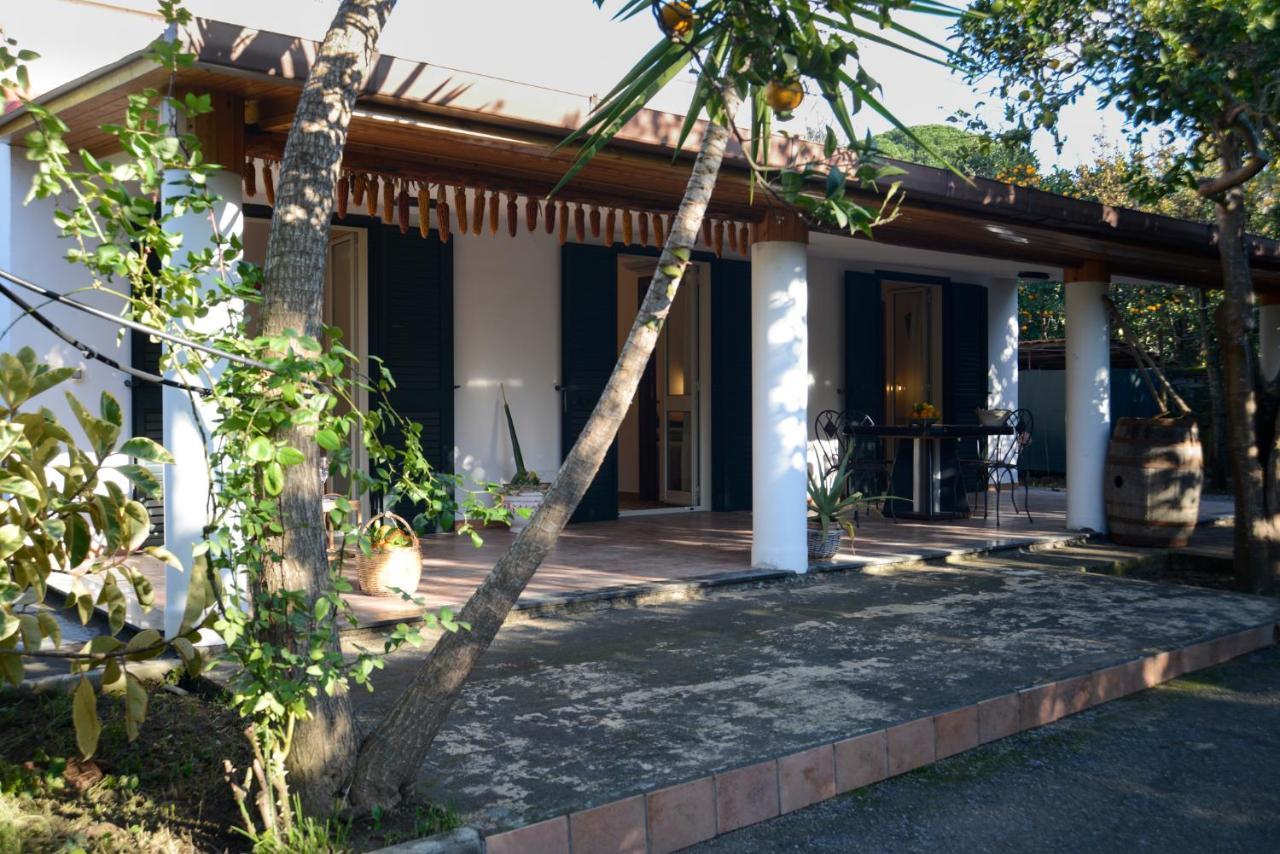 Agriturismo Piccolo Canyon Apartment Пиано ди Соренто Екстериор снимка